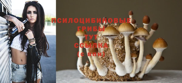ешки Навашино