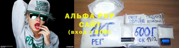 прущие грибы Михайловск