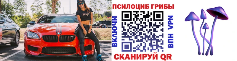 Галлюциногенные грибы прущие грибы Николаевск-на-Амуре